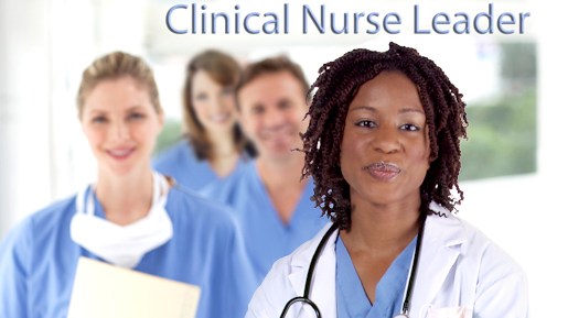 clinical-nurse-leader-header1crop